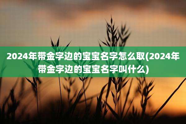 2024年带金字边的宝宝名字怎么取(2024年带金字边的宝宝名字叫什么)