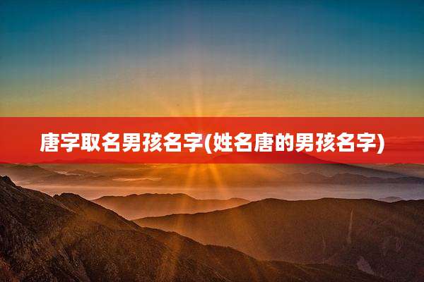 唐字取名男孩名字(姓名唐的男孩名字)
