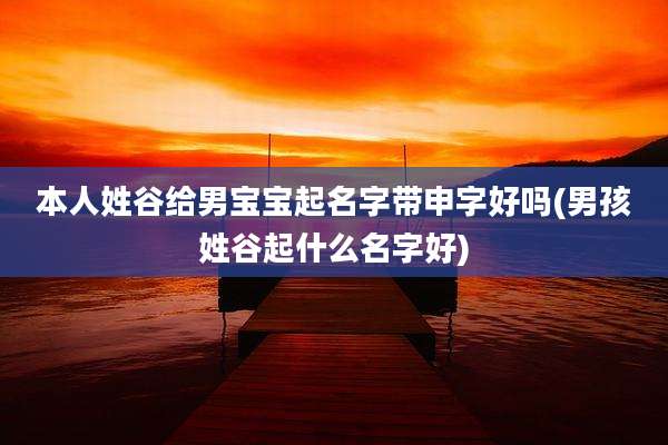 本人姓谷给男宝宝起名字带申字好吗(男孩姓谷起什么名字好)