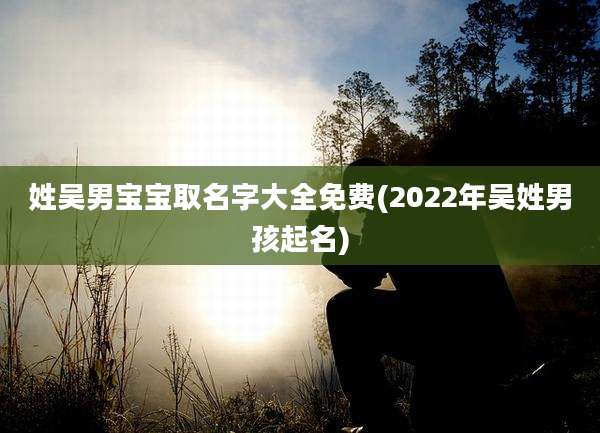 姓吴男宝宝取名字大全免费(2022年吴姓男孩起名)