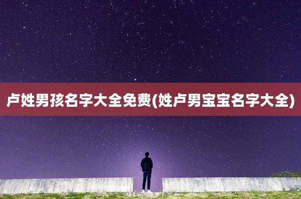 卢姓男孩名字大全免费(姓卢男宝宝名字大全)