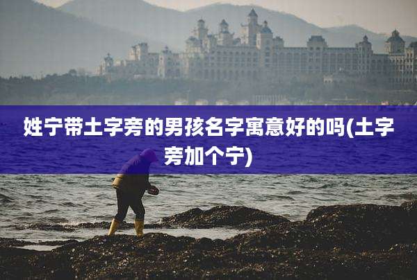 姓宁带土字旁的男孩名字寓意好的吗(土字旁加个宁)