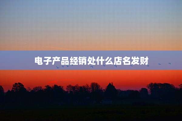 电子产品经销处什么店名发财