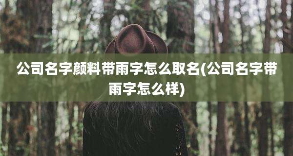 公司名字颜料带雨字怎么取名(公司名字带雨字怎么样)
