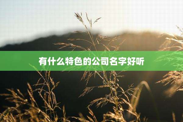 有什么特色的公司名字好听