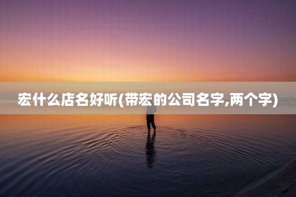 宏什么店名好听(带宏的公司名字,两个字)
