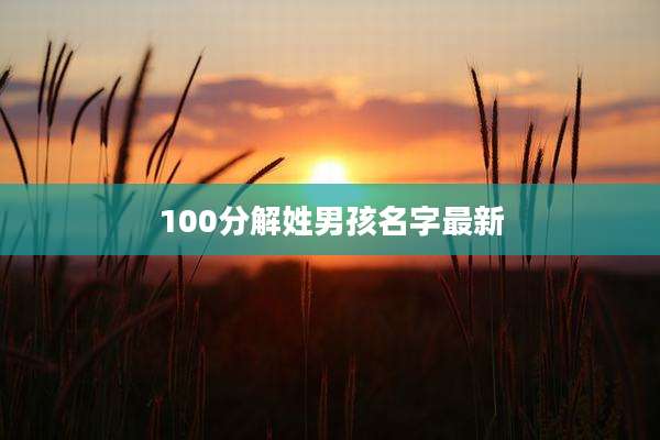 100分解姓男孩名字最新