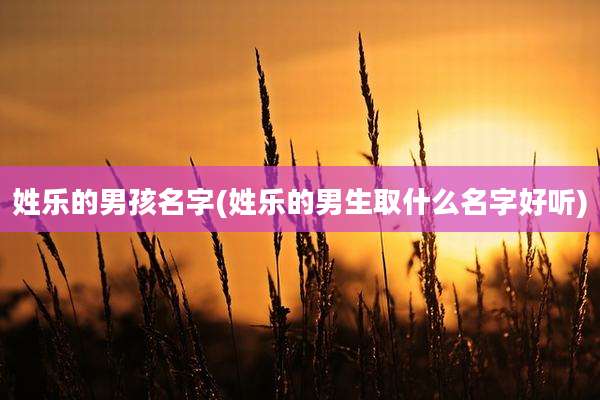 姓乐的男孩名字(姓乐的男生取什么名字好听)