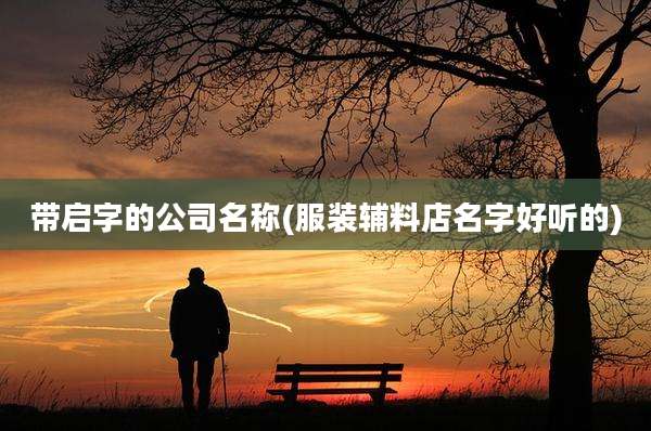 带启字的公司名称(服装辅料店名字好听的)
