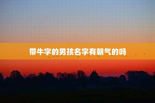 带牛字的男孩名字有朝气的吗