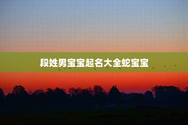 段姓男宝宝起名大全蛇宝宝