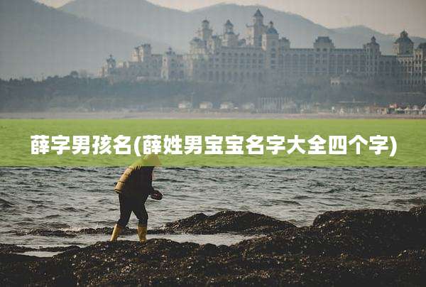 薛字男孩名(薛姓男宝宝名字大全四个字)