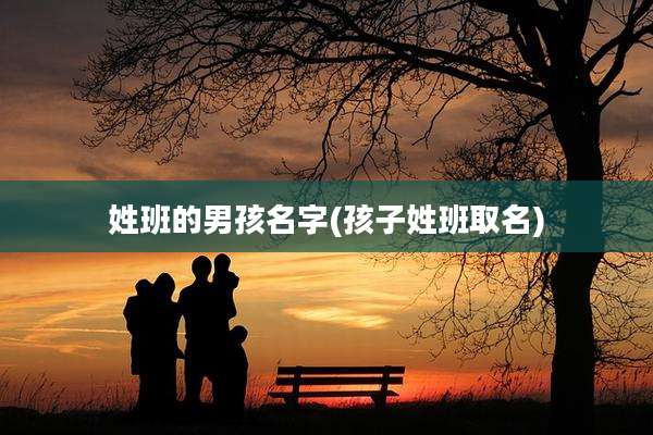姓班的男孩名字(孩子姓班取名)
