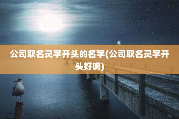 公司取名灵字开头的名字(公司取名灵字开头好吗)