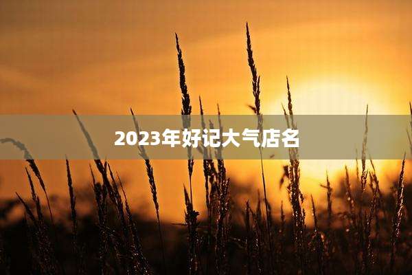 2023年好记大气店名