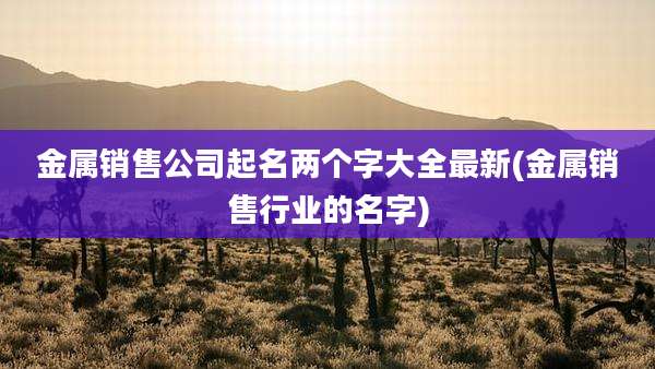 金属销售公司起名两个字大全最新(金属销售行业的名字)