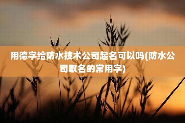 用德字给防水技术公司起名可以吗(防水公司取名的常用字)