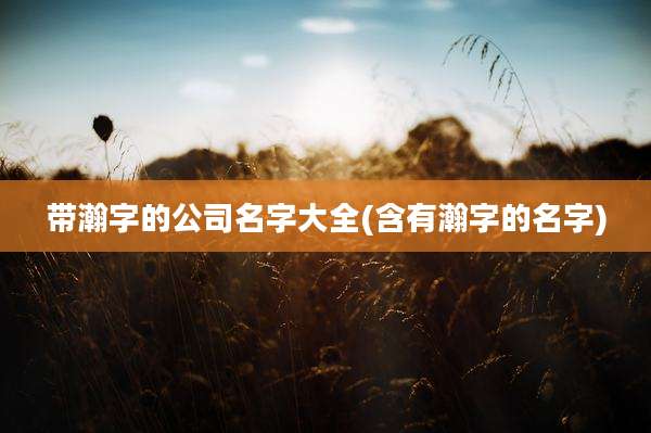 带瀚字的公司名字大全(含有瀚字的名字)