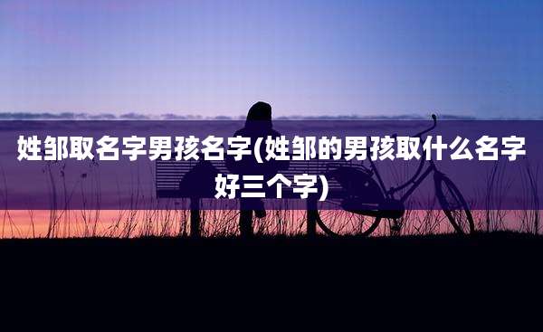 姓邹取名字男孩名字(姓邹的男孩取什么名字好三个字)