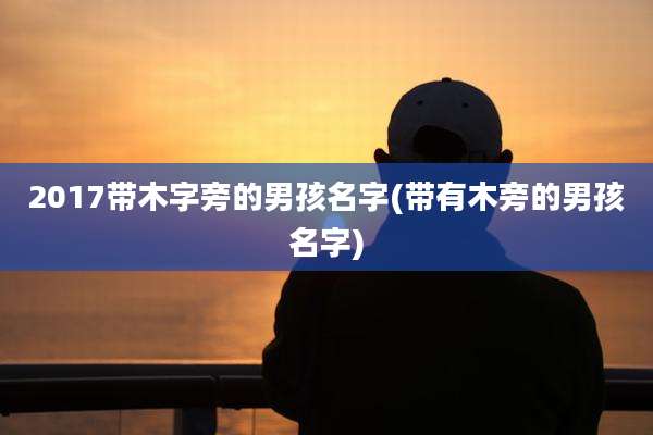 2017带木字旁的男孩名字(带有木旁的男孩名字)