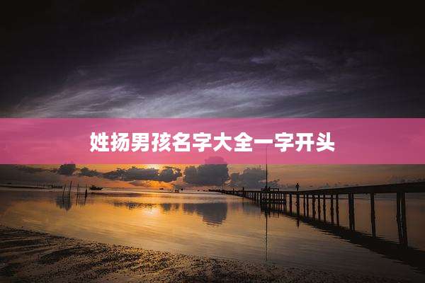 姓扬男孩名字大全一字开头