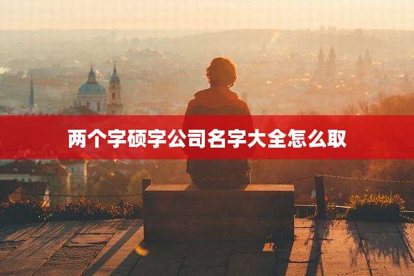 两个字硕字公司名字大全怎么取