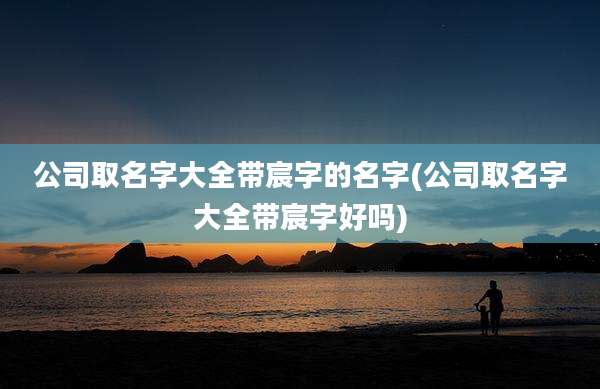 公司取名字大全带宸字的名字(公司取名字大全带宸字好吗)