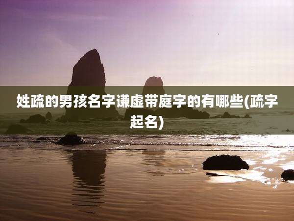 姓疏的男孩名字谦虚带庭字的有哪些(疏字起名)