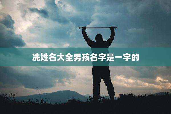 冼姓名大全男孩名字是一字的