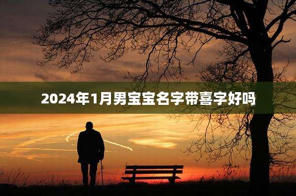 2024年1月男宝宝名字带喜字好吗