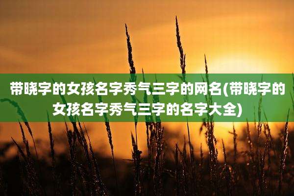 带晓字的女孩名字秀气三字的网名(带晓字的女孩名字秀气三字的名字大全)