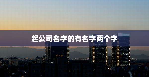 起公司名字的有名字两个字