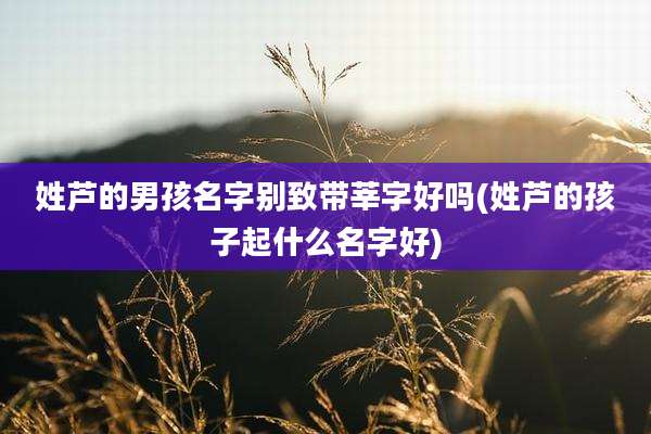 姓芦的男孩名字别致带莘字好吗(姓芦的孩子起什么名字好)