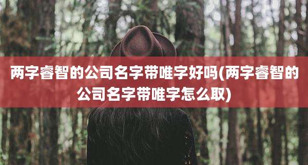两字睿智的公司名字带唯字好吗(两字睿智的公司名字带唯字怎么取)