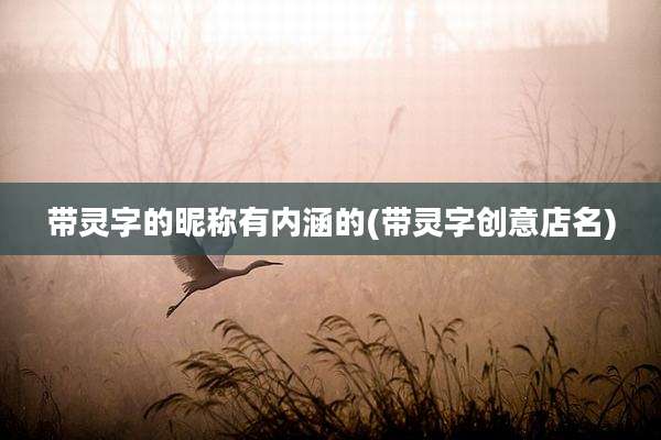 带灵字的昵称有内涵的(带灵字创意店名)