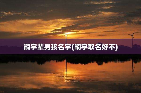 嗣字辈男孩名字(嗣字取名好不)