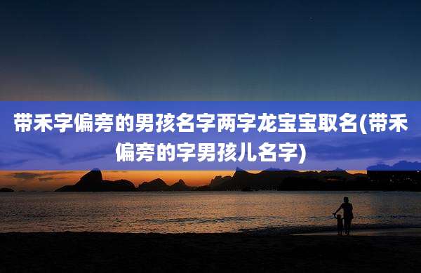 带禾字偏旁的男孩名字两字龙宝宝取名(带禾偏旁的字男孩儿名字)