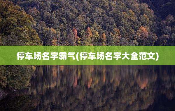 停车场名字霸气(停车场名字大全范文)