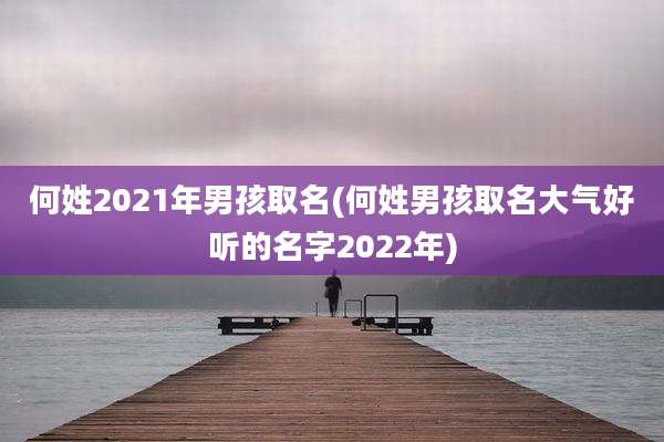 何姓2021年男孩取名(何姓男孩取名大气好听的名字2022年)