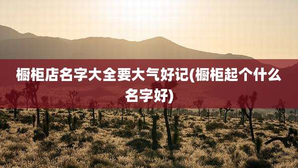 橱柜店名字大全要大气好记(橱柜起个什么名字好)