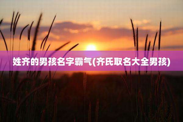 姓齐的男孩名字霸气(齐氏取名大全男孩)