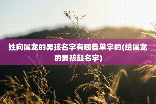 姓向属龙的男孩名字有哪些单字的(给属龙的男孩起名字)