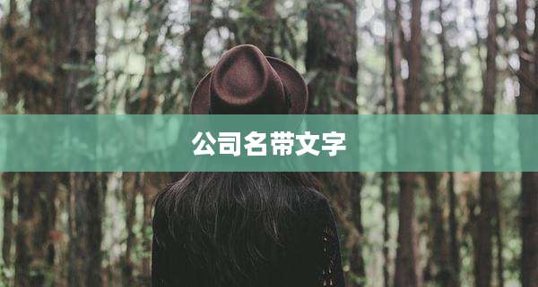 公司名带文字