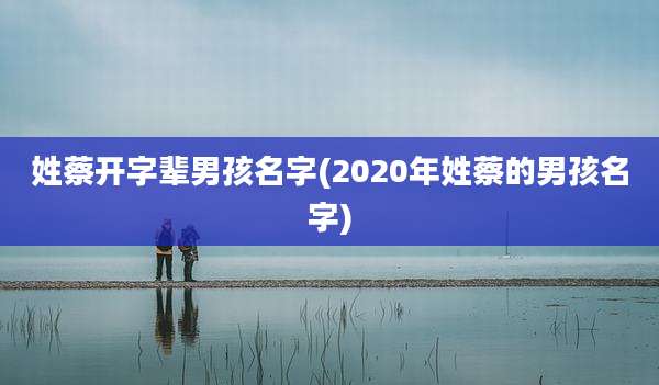 姓蔡开字辈男孩名字(2020年姓蔡的男孩名字)