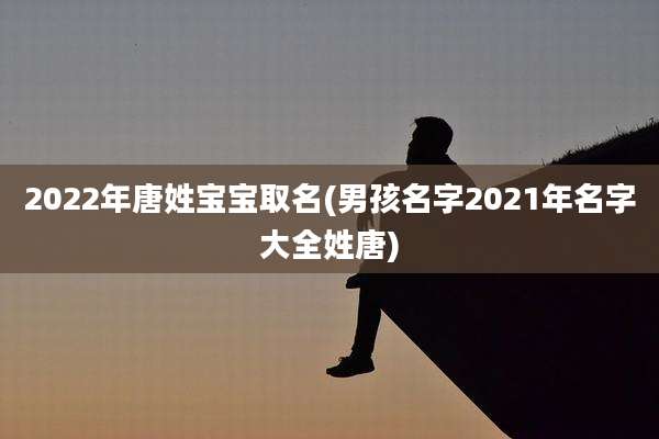 2022年唐姓宝宝取名(男孩名字2021年名字大全姓唐)