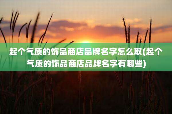 起个气质的饰品商店品牌名字怎么取(起个气质的饰品商店品牌名字有哪些)