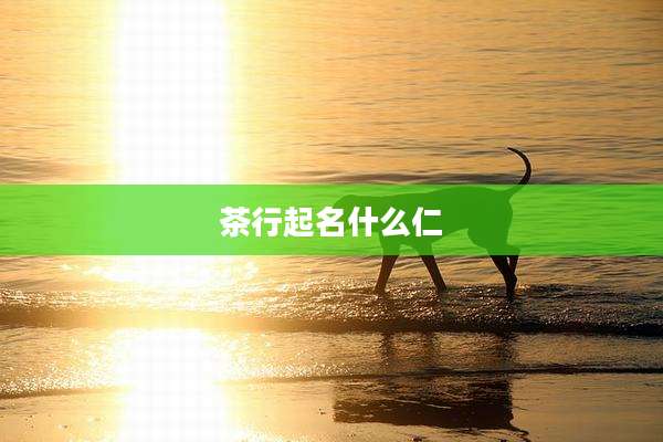 茶行起名什么仁