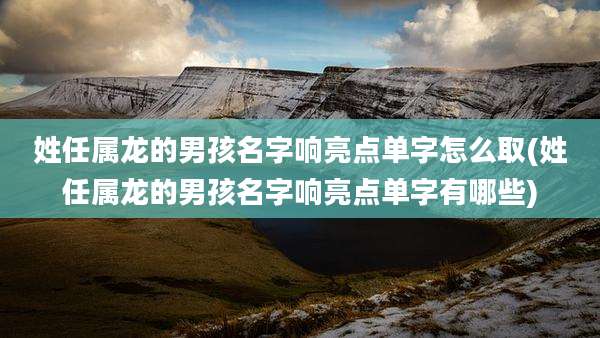 姓任属龙的男孩名字响亮点单字怎么取(姓任属龙的男孩名字响亮点单字有哪些)