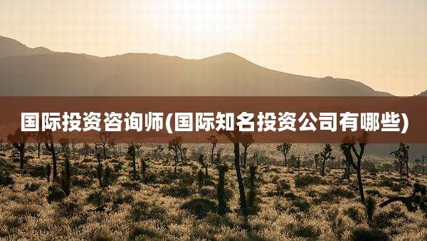 国际投资咨询师(国际知名投资公司有哪些)