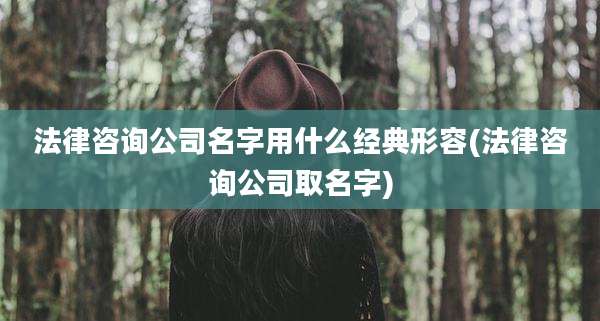 法律咨询公司名字用什么经典形容(法律咨询公司取名字)